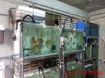 NF魚池過濾養殖系統-雲林 (4)
